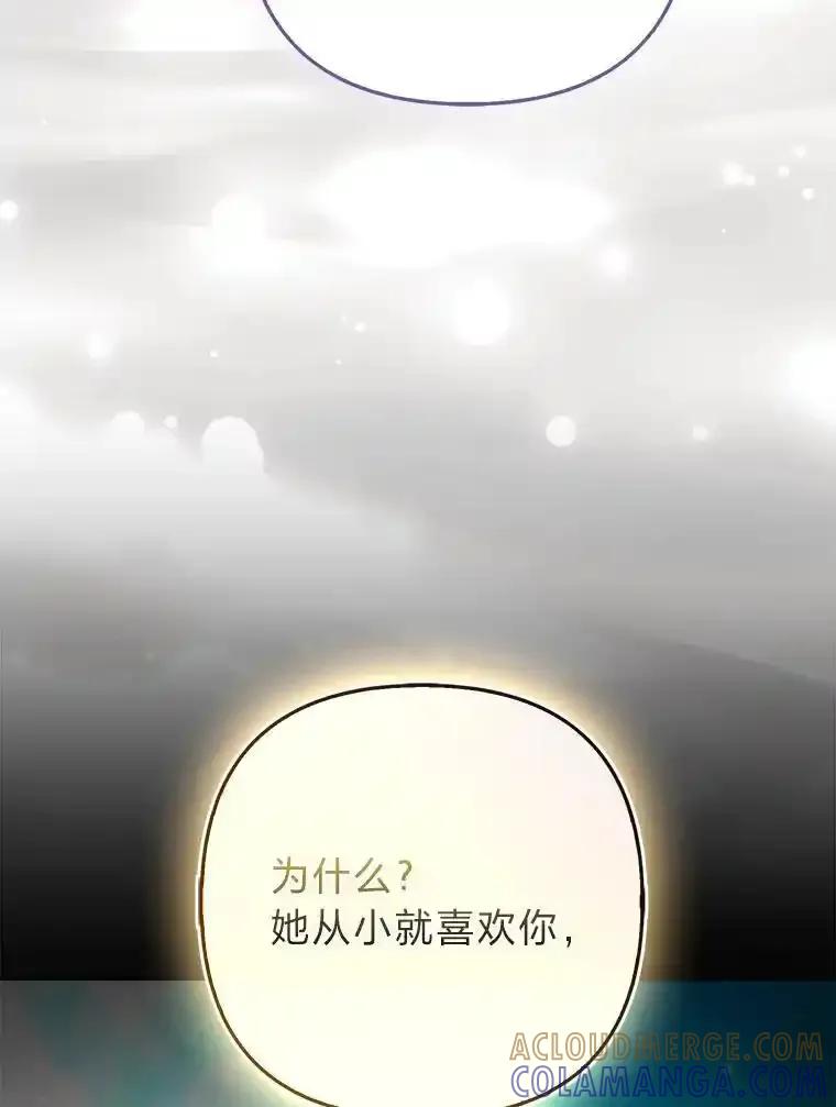 《大公家的狐狸皇女》61.误打误撞 第97页