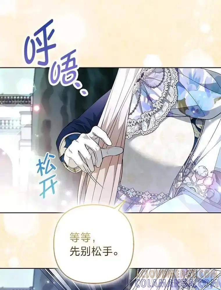 《大公家的狐狸皇女》61.误打误撞 第25页