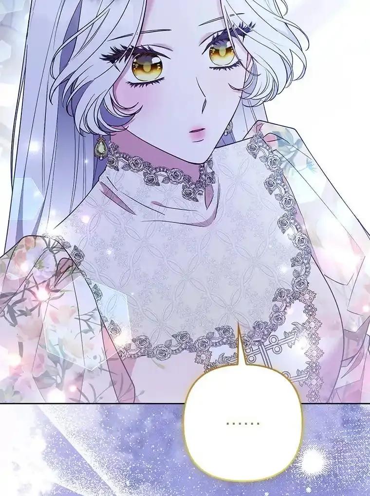 《大公家的狐狸皇女》61.误打误撞 第108页