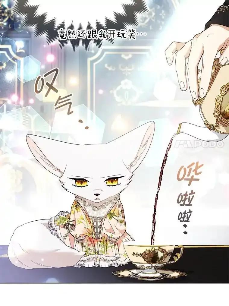 《大公家的狐狸皇女》61.误打误撞 第47页
