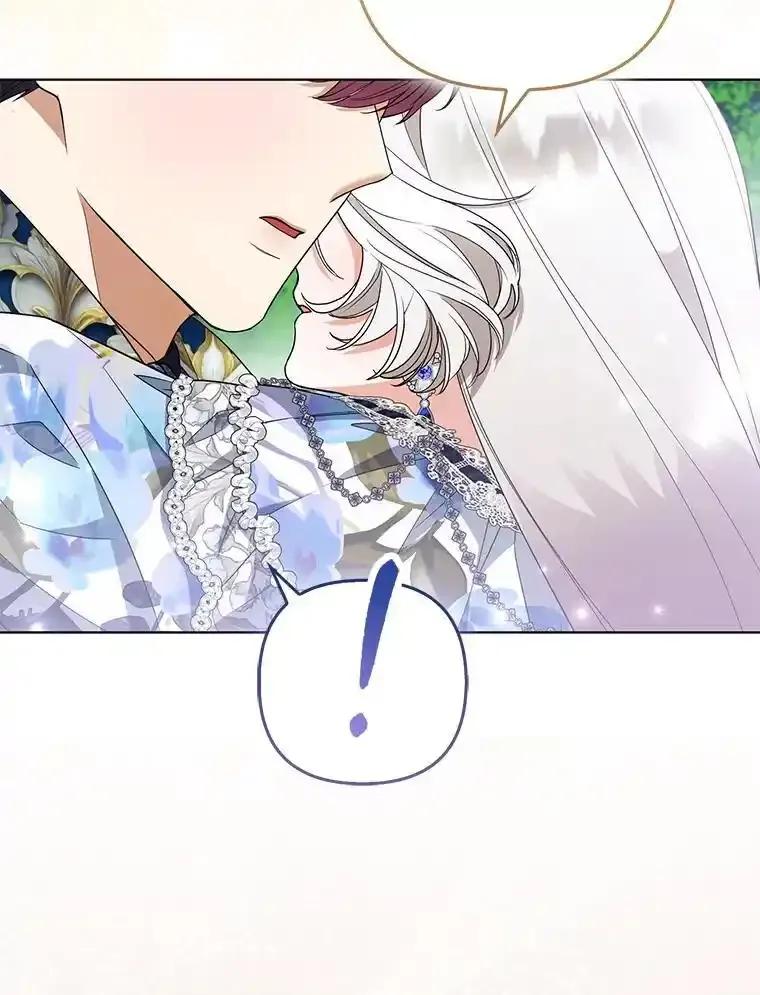 《大公家的狐狸皇女》61.误打误撞 第27页