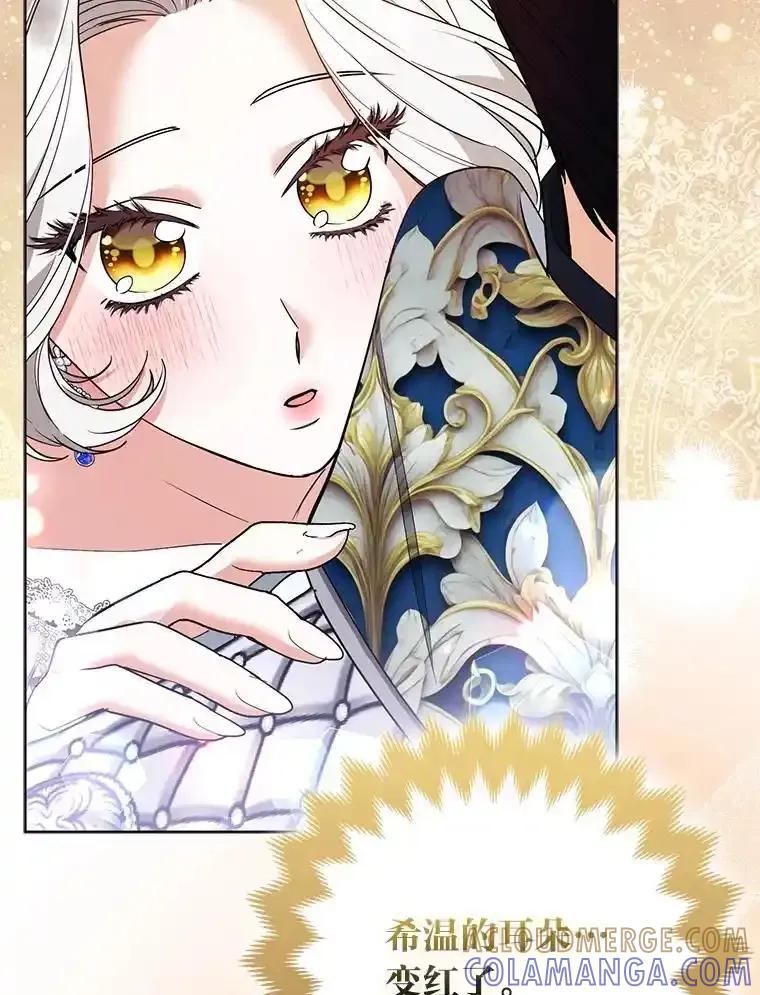《大公家的狐狸皇女》61.误打误撞 第29页