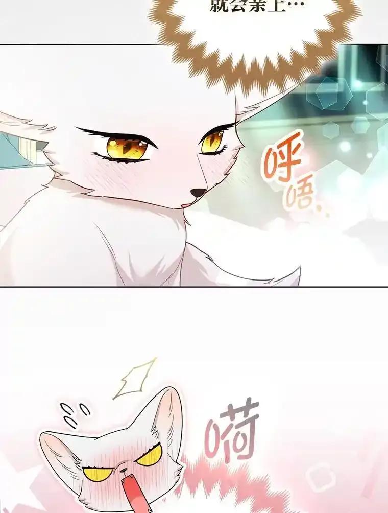 《大公家的狐狸皇女》61.误打误撞 第40页