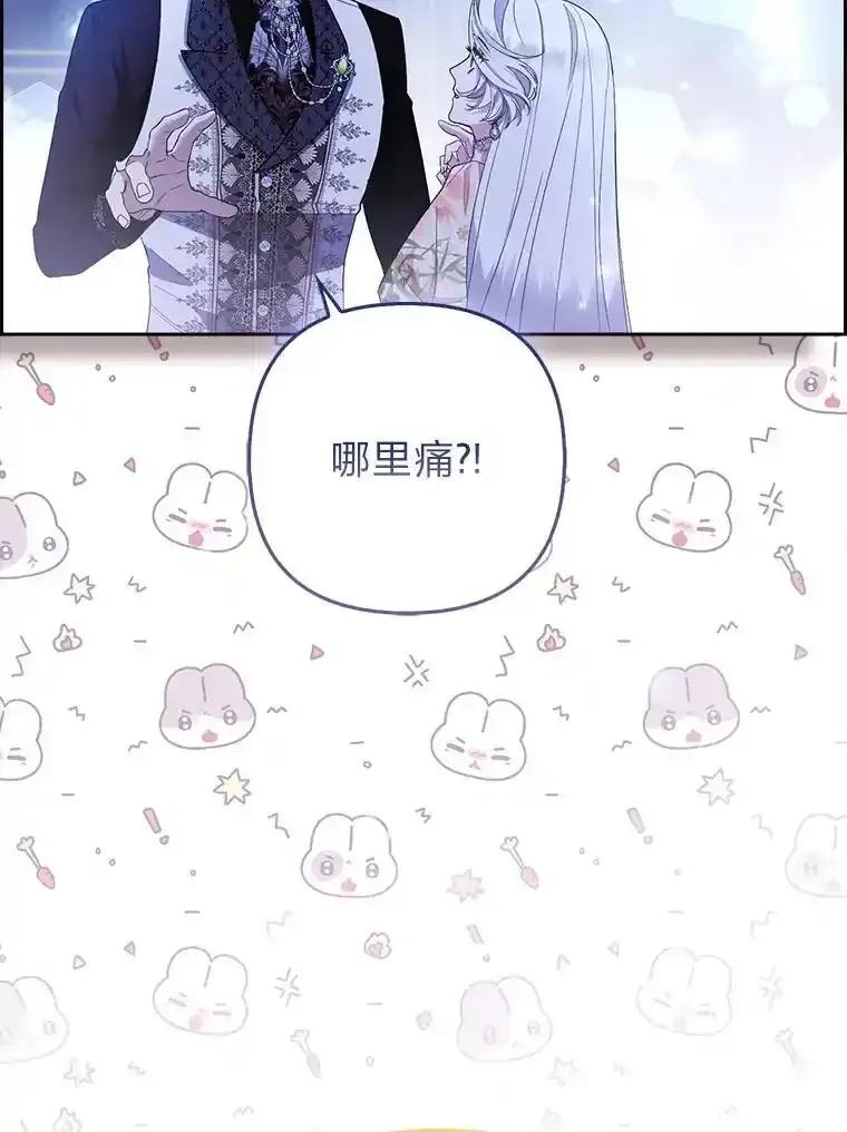 《大公家的狐狸皇女》61.误打误撞 第63页