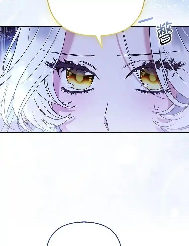 《大公家的狐狸皇女》61.误打误撞 第78页