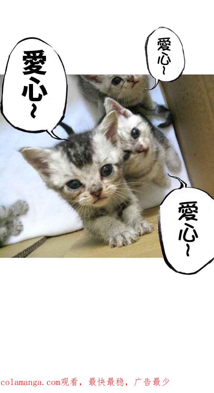 猫剑客 [第104话] 折翼天使 肆拾柒，神灵一发 第38页