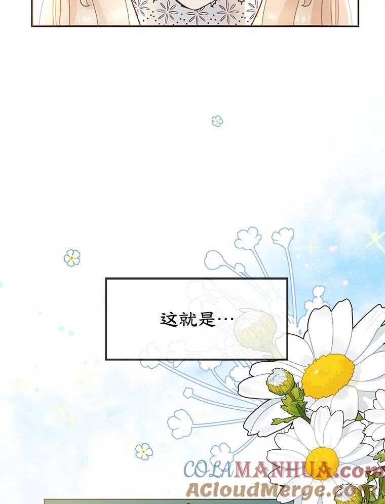 离婚后恶女专注烤蛋糕 - 1.离婚 - 第13张图