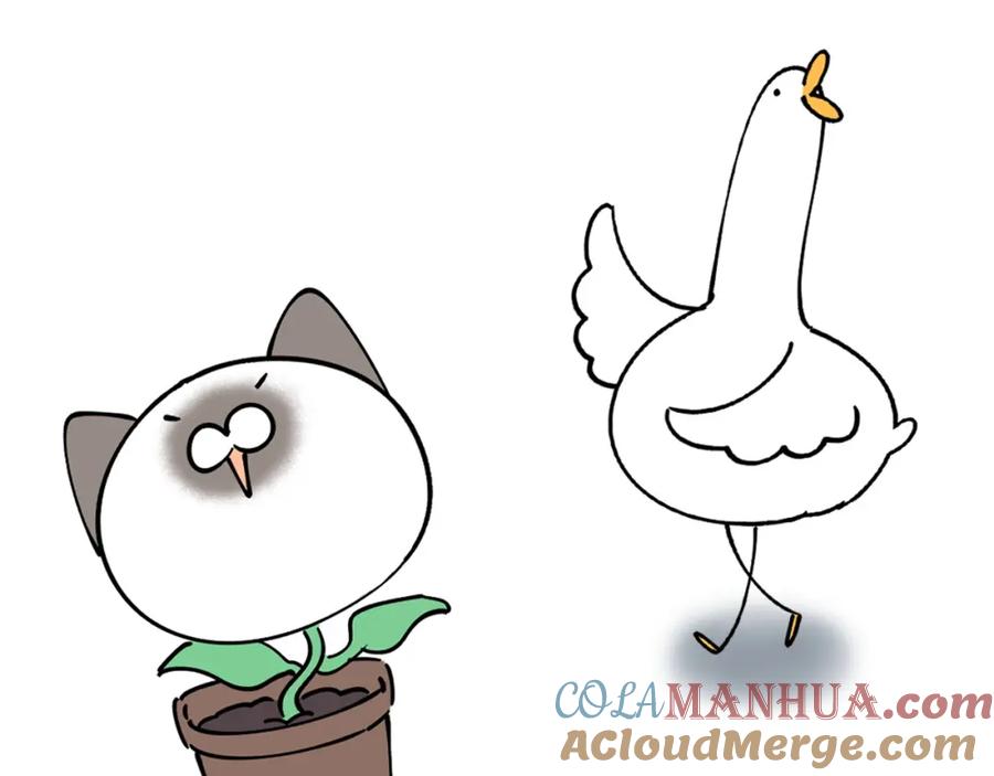 结婚这件小事 - 第1话 结婚？？？ - 第88张图