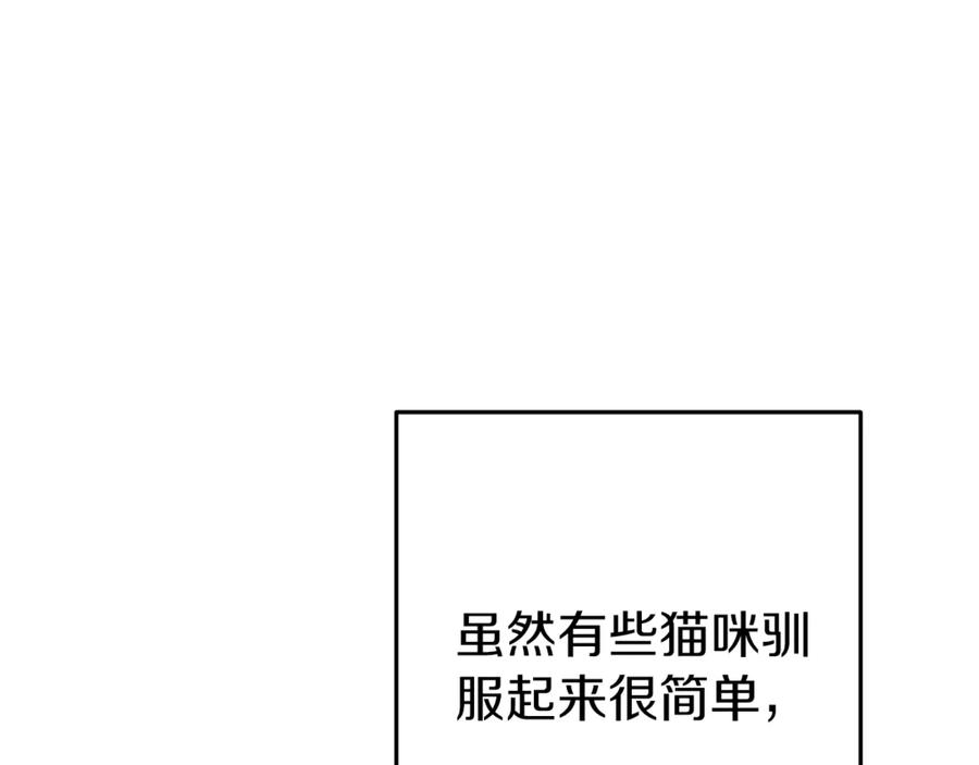 重启地下城 第221话 收服影子猫 第22页