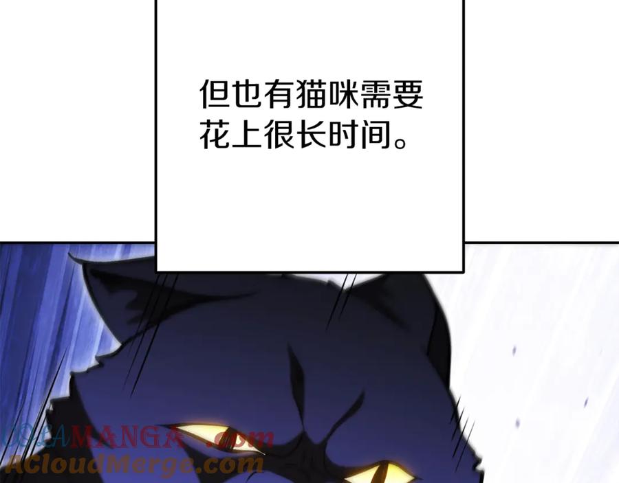 重启地下城 第221话 收服影子猫 第25页