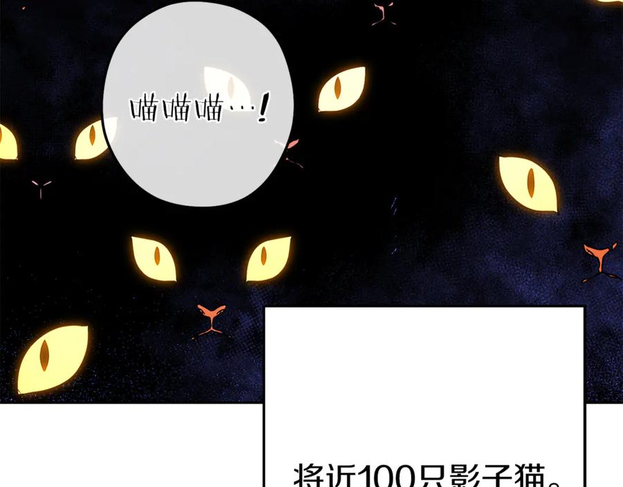 重启地下城 第221话 收服影子猫 第7页