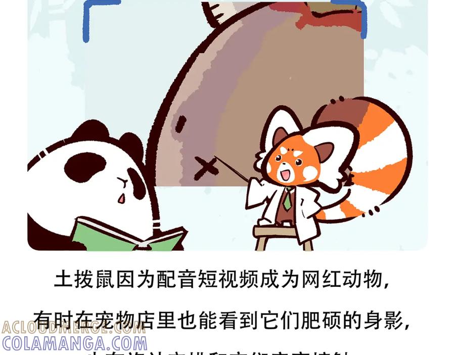《胖达x胖达》第90话 第19页