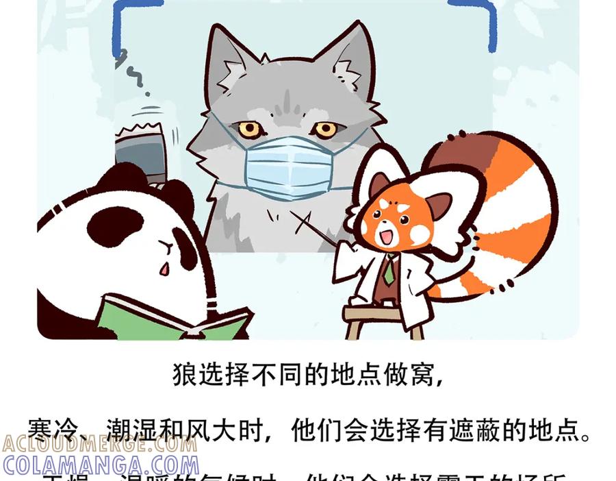 《胖达x胖达》第54话 第21页