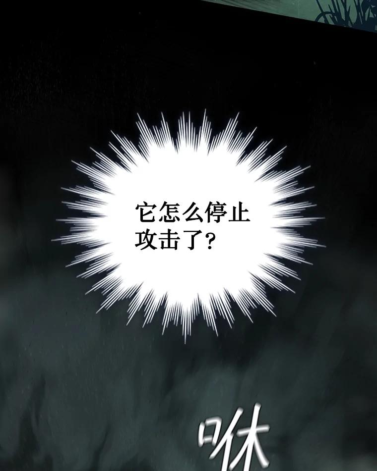 《噬龙魔法师》9.火之试炼 第42页