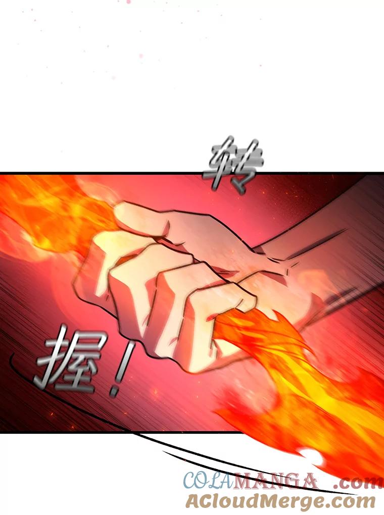 《噬龙魔法师》10.冰魔像 第101页