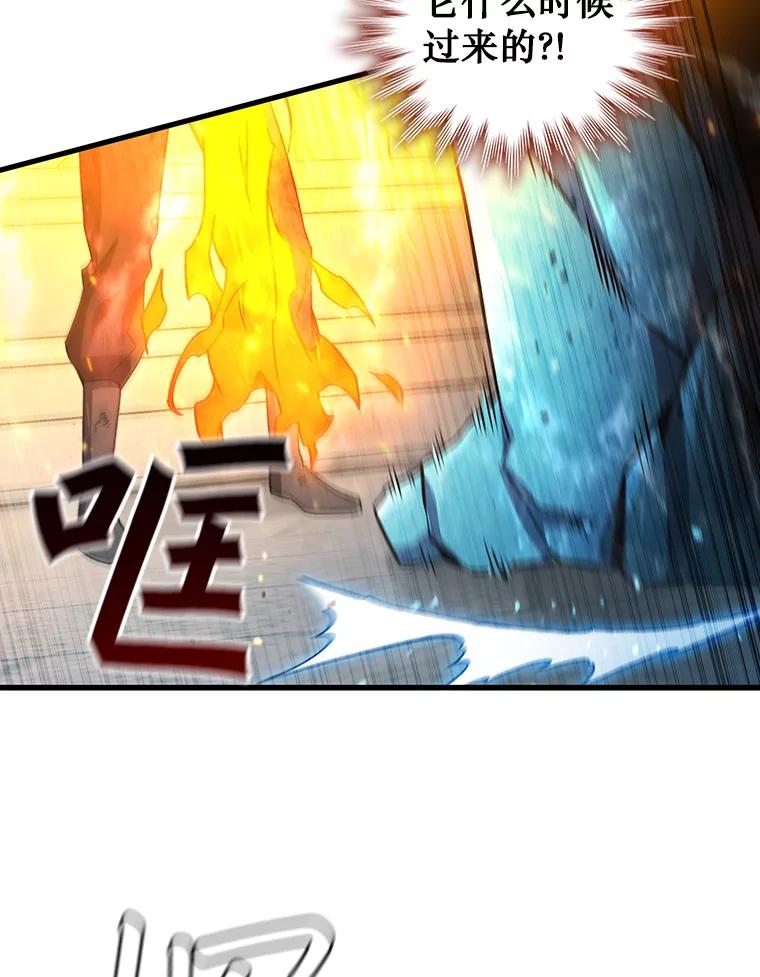 《噬龙魔法师》10.冰魔像 第47页