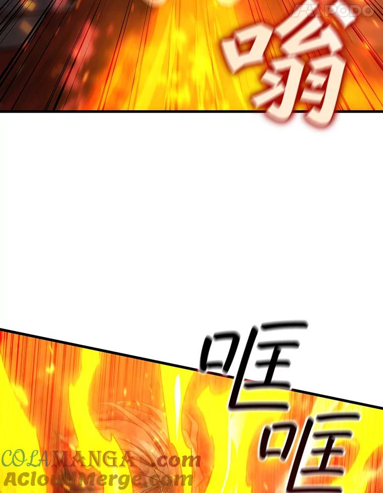 《噬龙魔法师》10.冰魔像 第45页