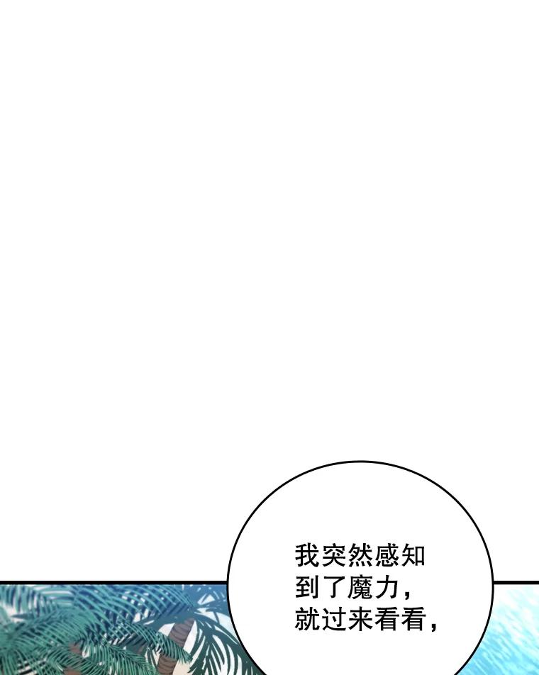 《噬龙魔法师》11.守护者的宿命 第58页