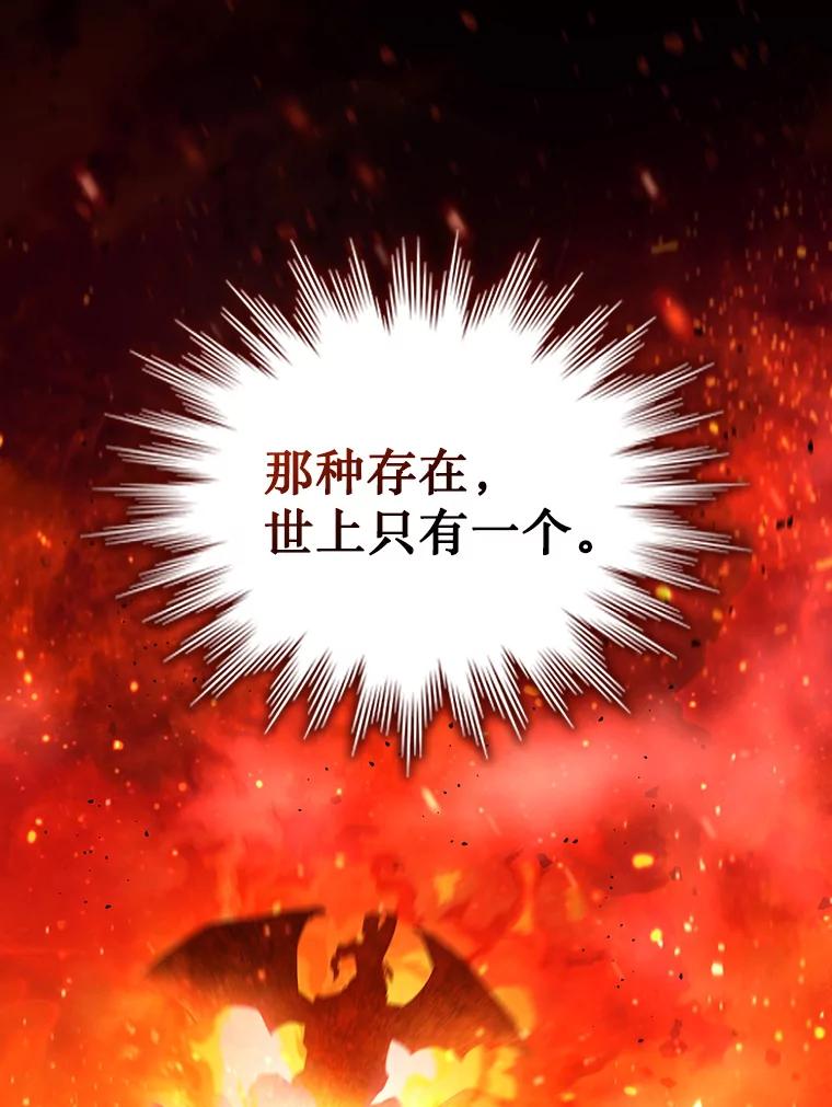《噬龙魔法师》8.光的指引 第74页