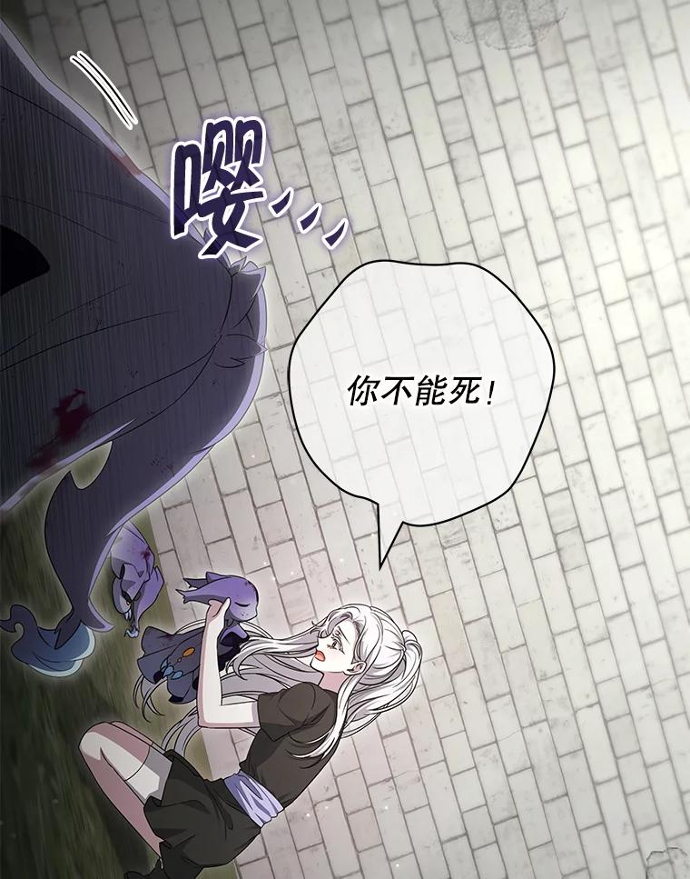 《被关在网游里了》51.魔物朋友 第67页