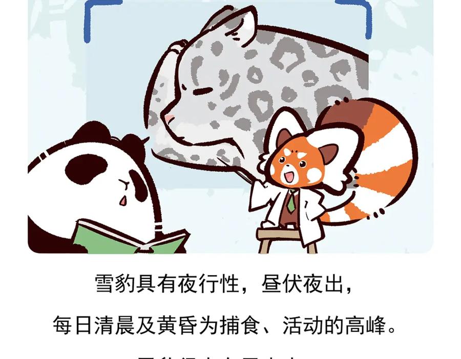 《胖达x胖达》第95话 第20页