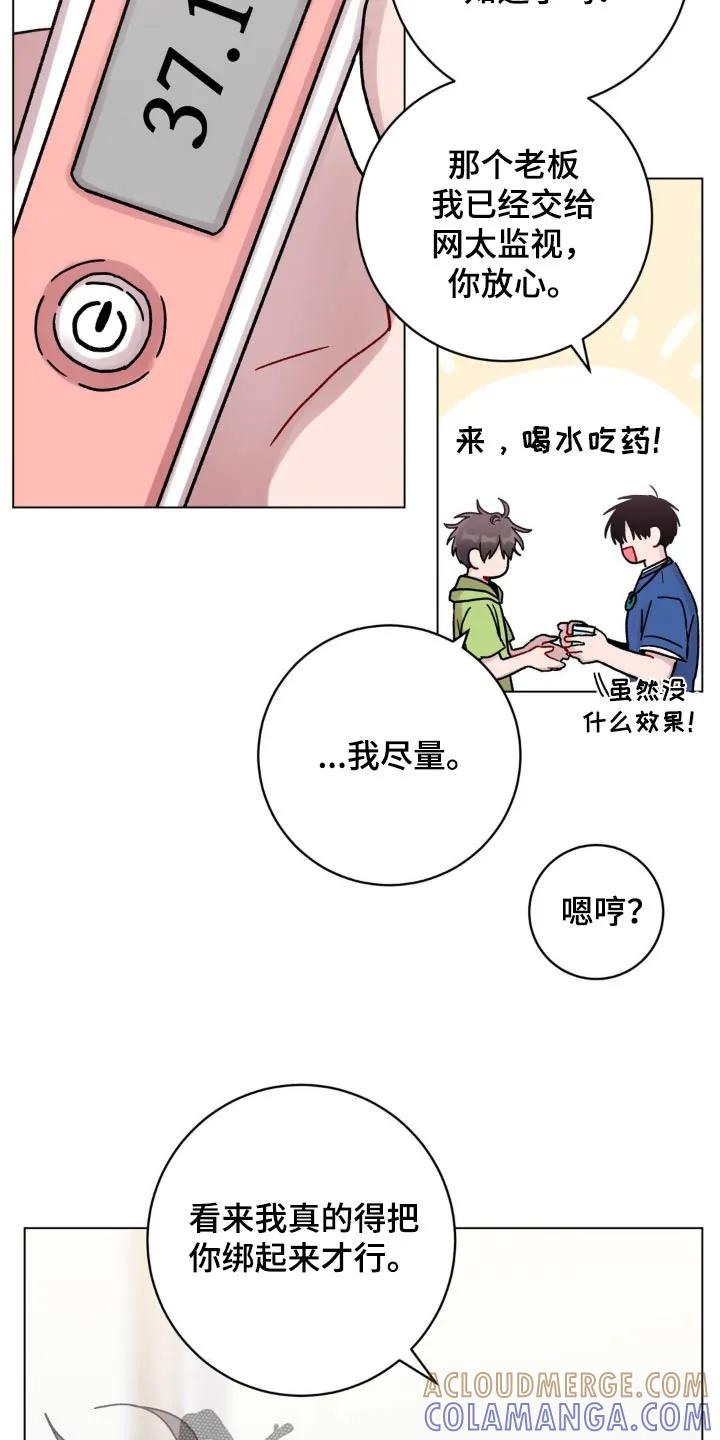 《复生之缘》第61章：大蒜 第3页