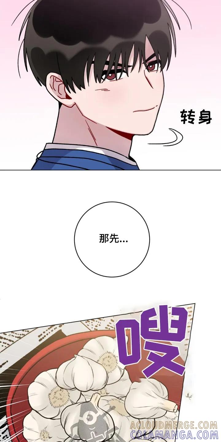 《复生之缘》第61章：大蒜 第13页