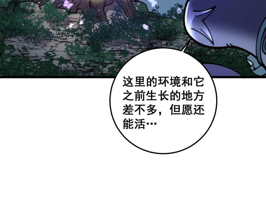 老蛇修仙传（蛇祖） 老黑蛇临终遗愿 第128页