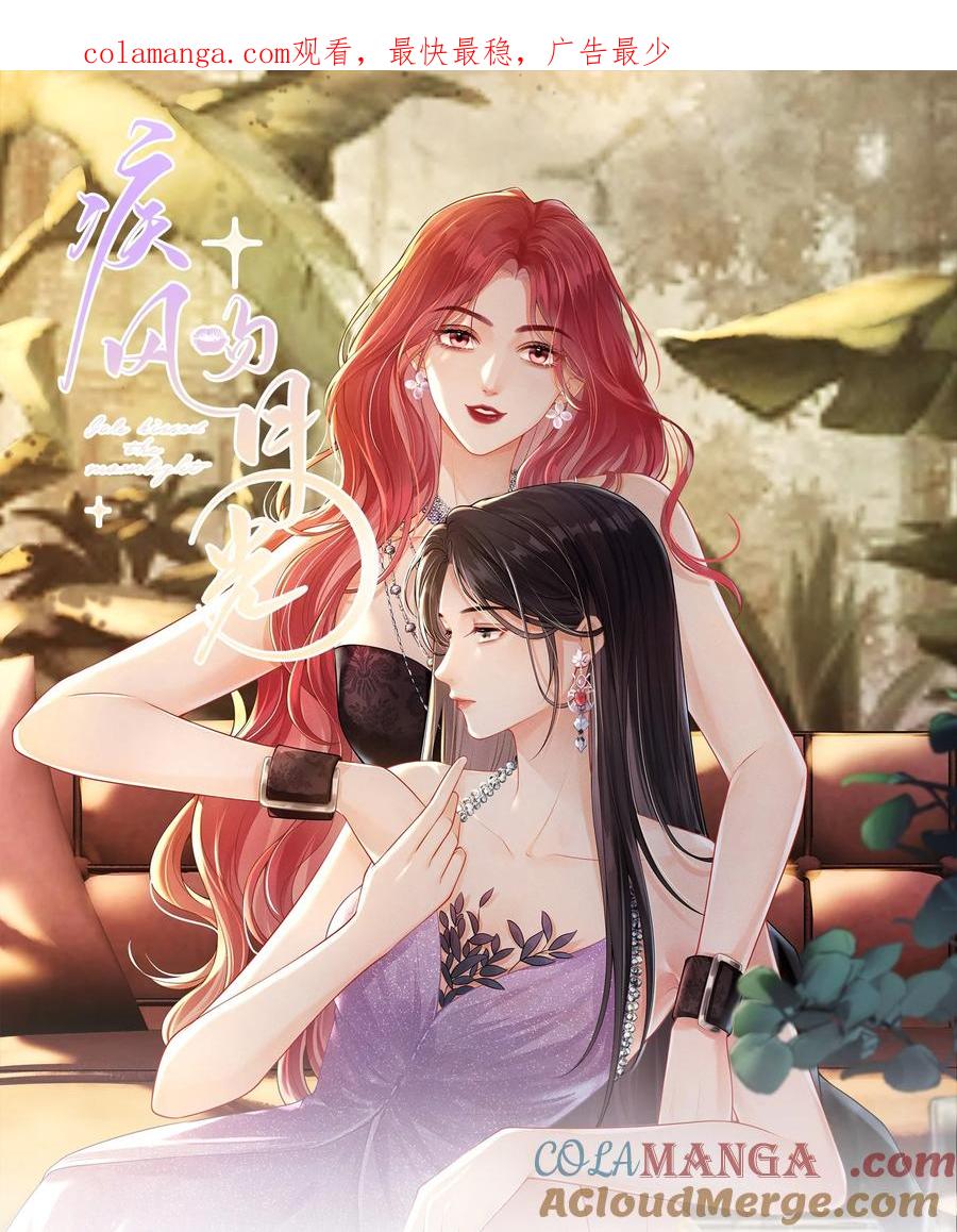 《疾风吻月光》01 人淡如菊和野心家 第1页