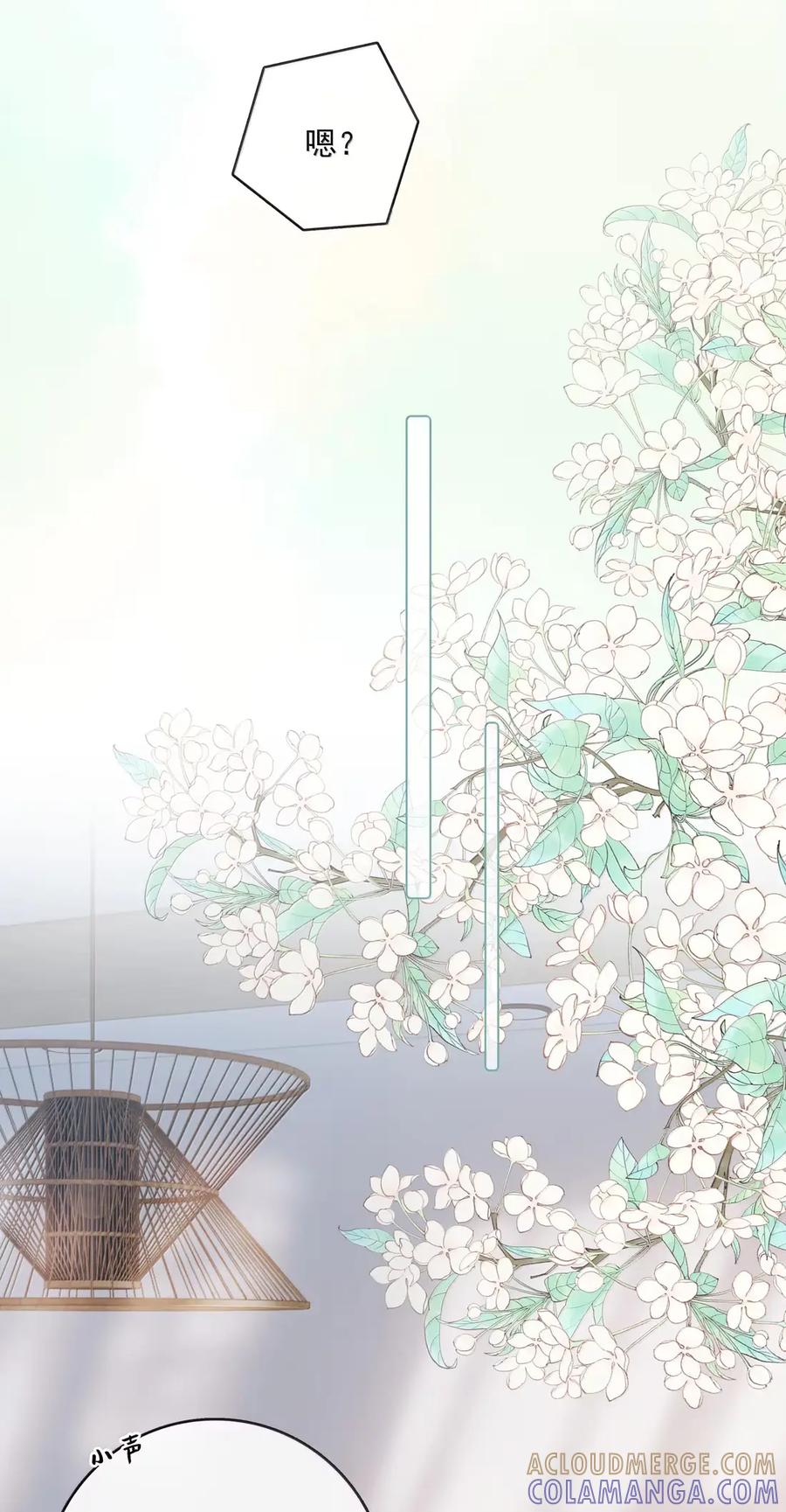 《疾风吻月光》058 综艺 第13页