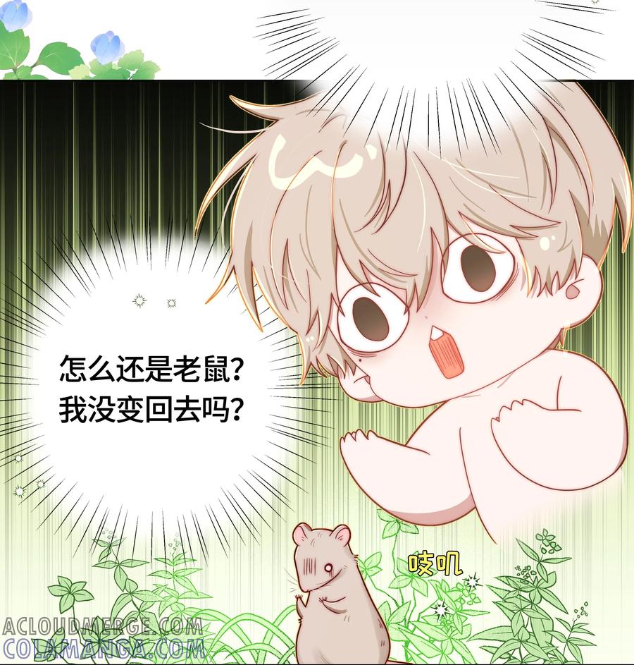 《与天敌先生同居中》006 还是讨厌你 第9页