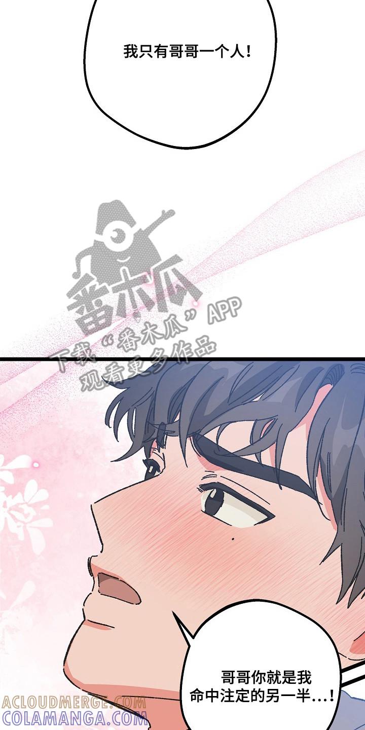 越界的贝塔 - 第24章：命中注定的一半 - 第23张图