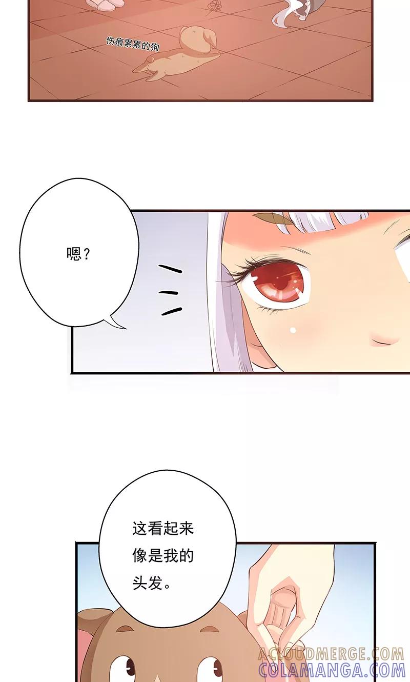 《心机BOY指导手册》第9话 还没完吧 第5页