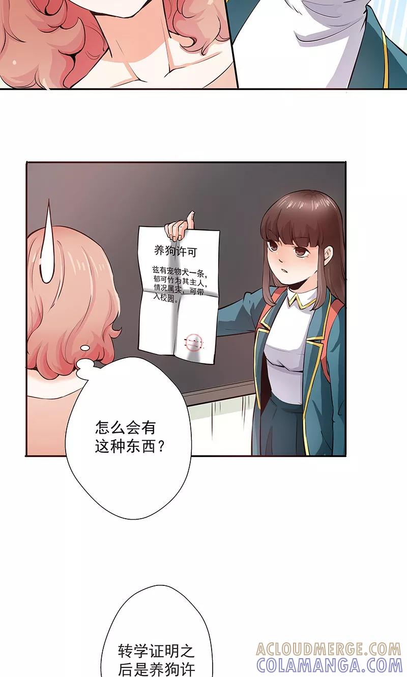 《心机BOY指导手册》第11话1 我叫郁可竹 第13页