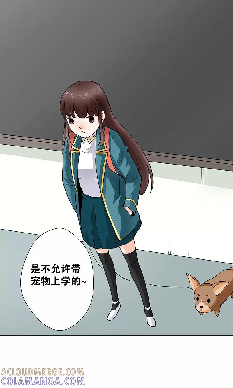 《心机BOY指导手册》第11话1 我叫郁可竹 第9页