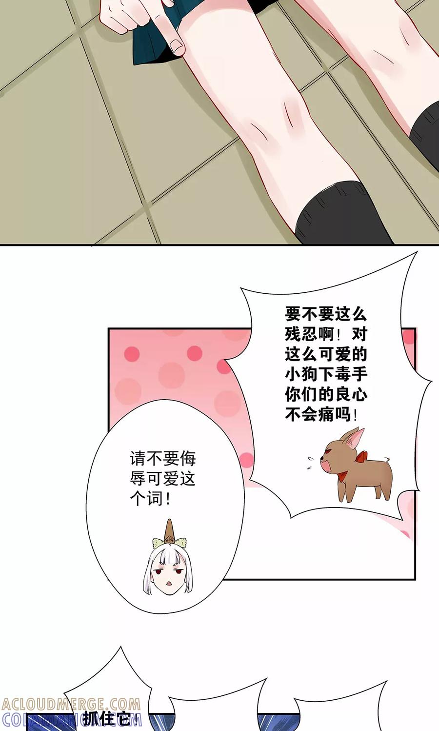 《心机BOY指导手册》第16话2 狗屁威力大 第13页