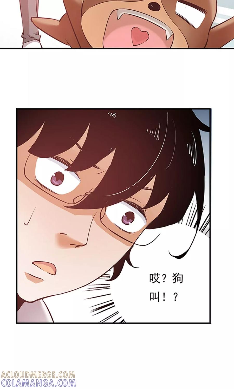 《心机BOY指导手册》第8话 我变成狗了？ 第40页