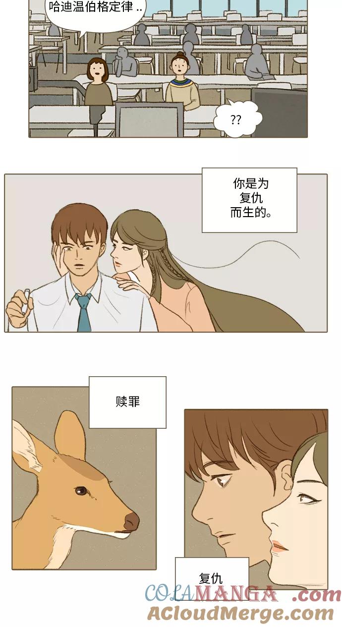 《鸡龙仙女传》[第31话] 噩梦3 第19页