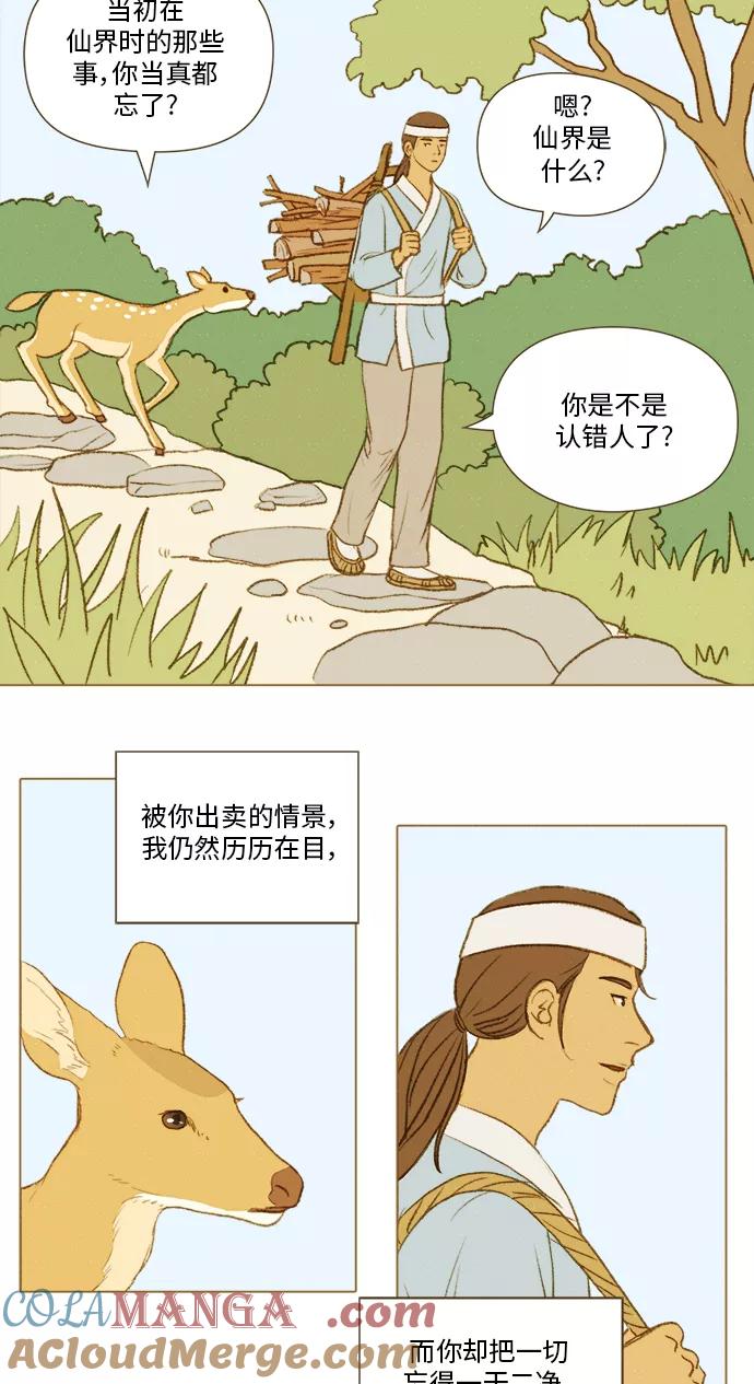 《鸡龙仙女传》[第36话] 小金金1 第19页