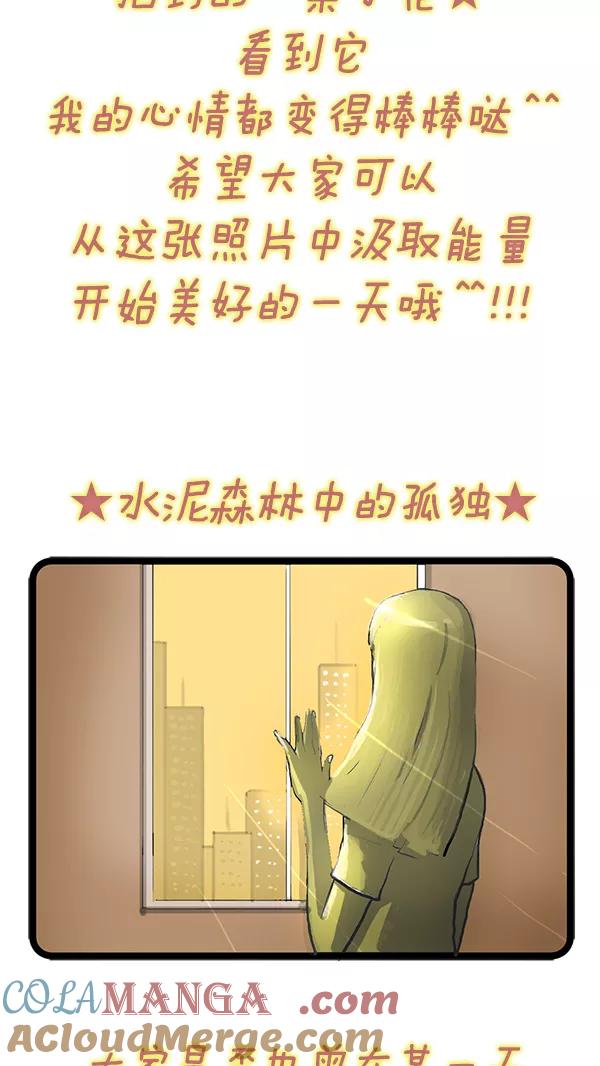 《别放精神线》[第59话] 可人儿的照片随笔 第3页