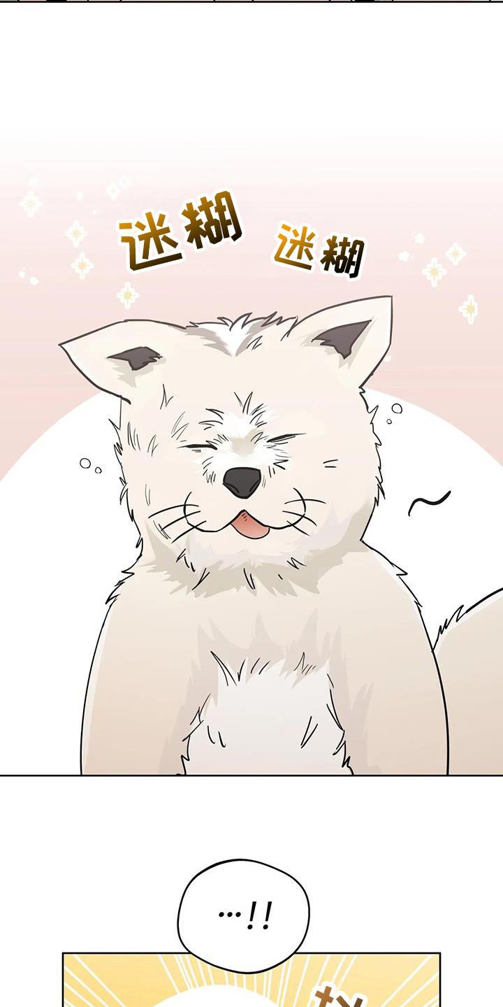 《邻居攻略》第130章：【第三季】我想你 第6页