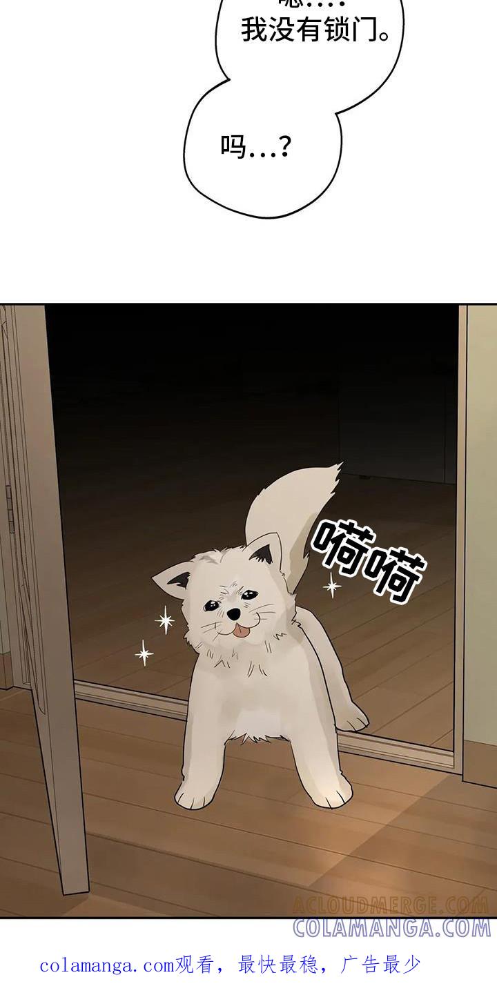 《邻居攻略》第137章：【第三季】没有锁门 第21页