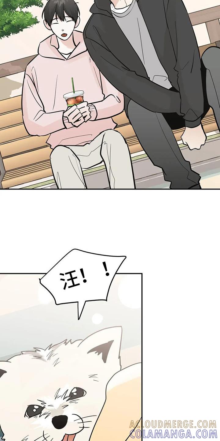 《邻居攻略》第140章：【第三季】大田生活 第11页