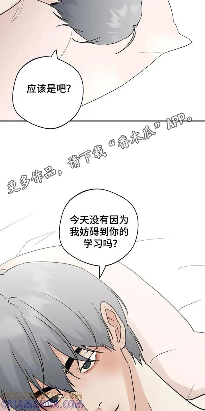 《邻居攻略》第141章：【第三季】保持联系 第15页