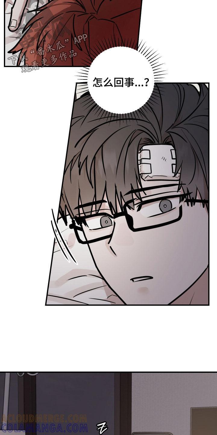 《被不良缠上》第37章：有话要跟你说 第5页
