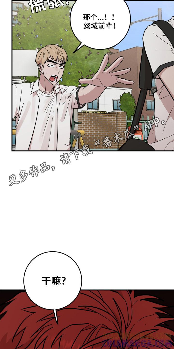 《被不良缠上》第39章：保护他 第23页