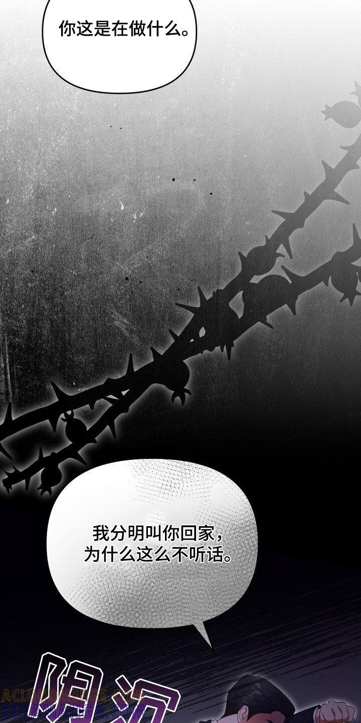 《秘书生存指南》第68章：我要辞职 第37页
