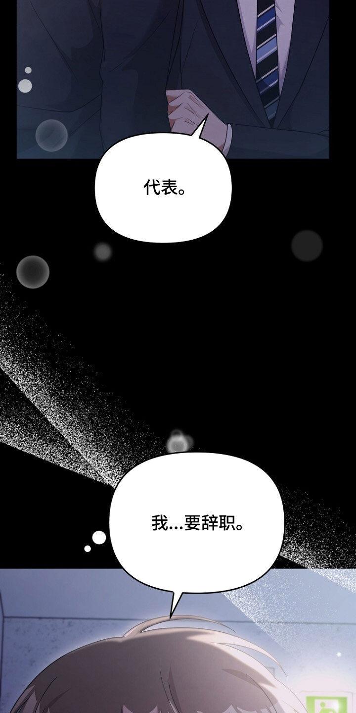 《秘书生存指南》第68章：我要辞职 第44页