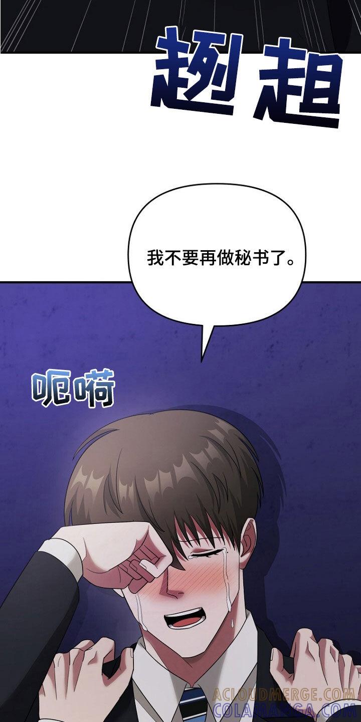 《秘书生存指南》第69章：不能放手 第29页