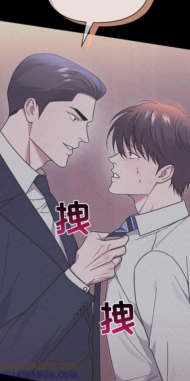 《秘书生存指南》第69章：不能放手 第11页